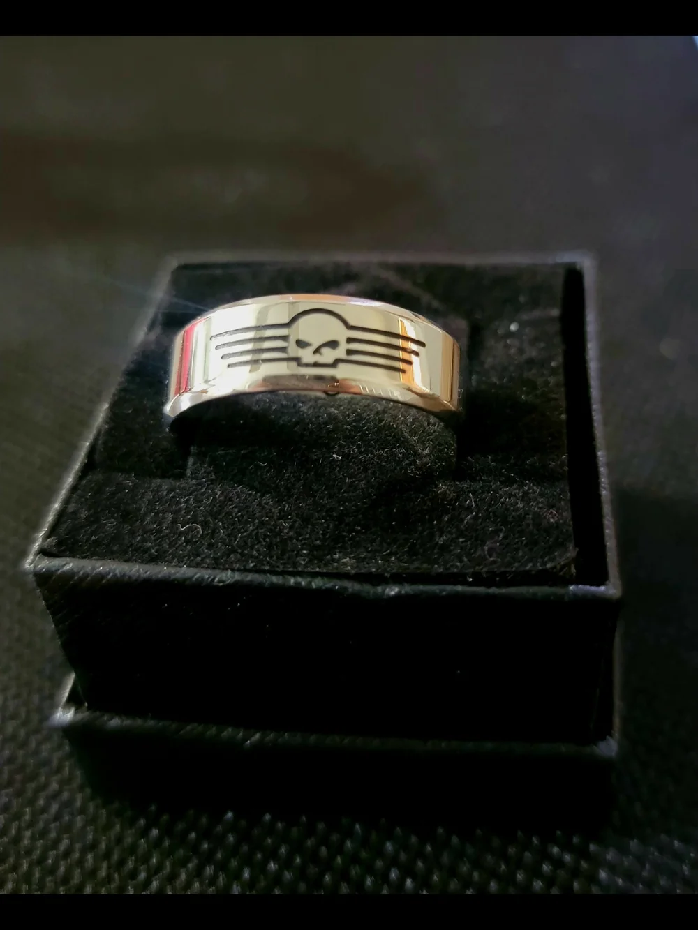Men's Silver Skull-Accent Stainless Steel Ring